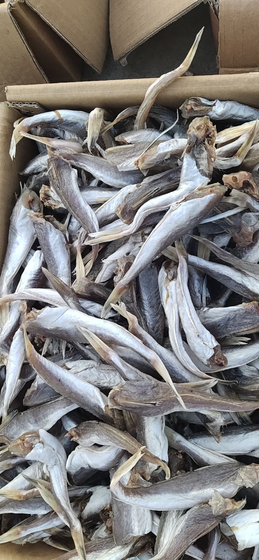 红鱼干  红头鱼，去头去尾的，用盐腌制的，没有碎刺，肉质劲道