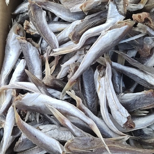滨州红鱼干  红头鱼，去头去尾的，用盐腌制的，没有碎刺，肉质劲道
