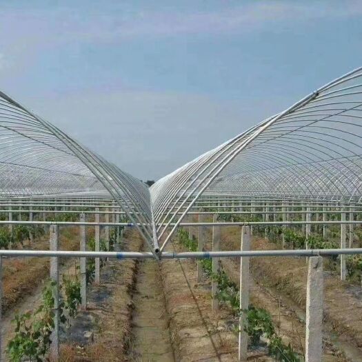 天津大棚管  种植棚，养殖棚，暖棚，冷棚，温室大棚，连栋大棚，