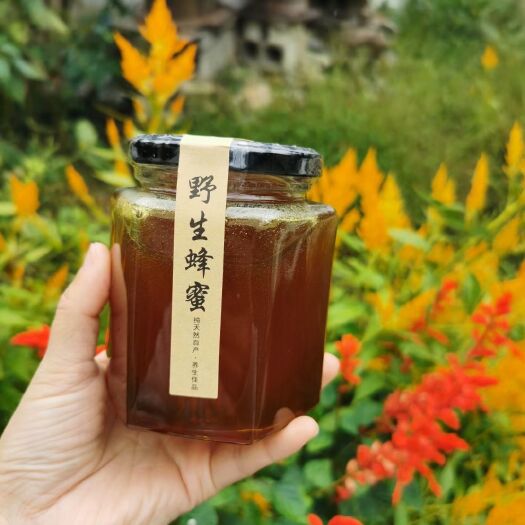 黟县 土蜂蜜