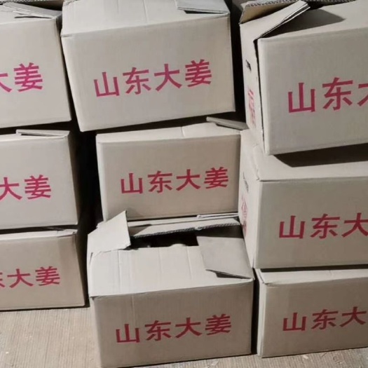 黑山县面姜 辽宁省锦州市黑山县 4~6两 水洗