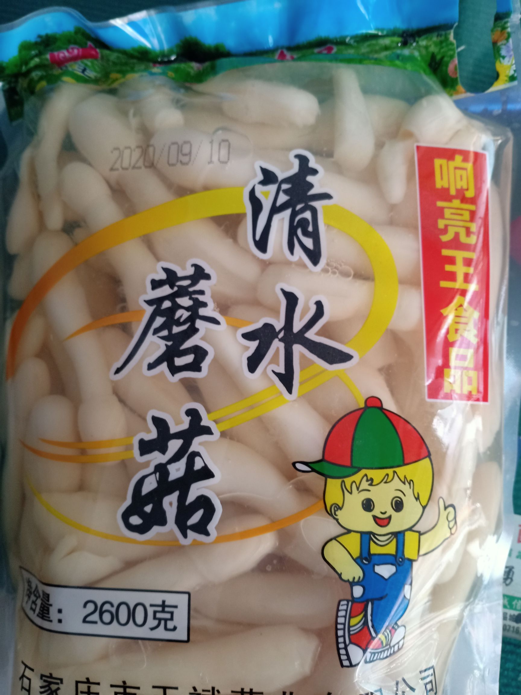 郑州鸡腿菇 人工种植 鲜货 