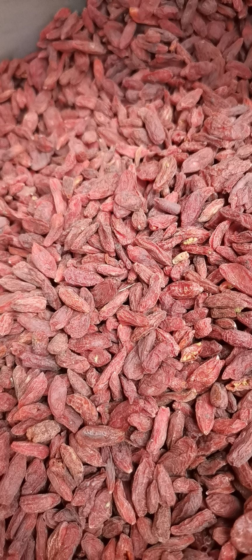 宁夏枸杞红枸杞跑江湖地摊热卖产品