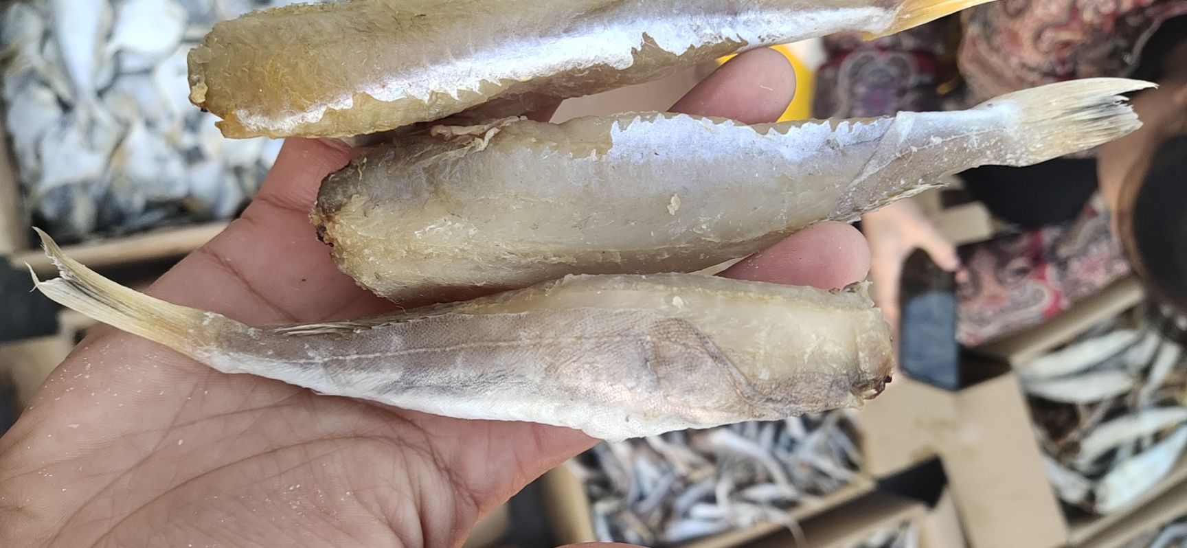 红鱼干  红头鱼，去头去尾的，用盐腌制的，没有碎刺，肉质劲道