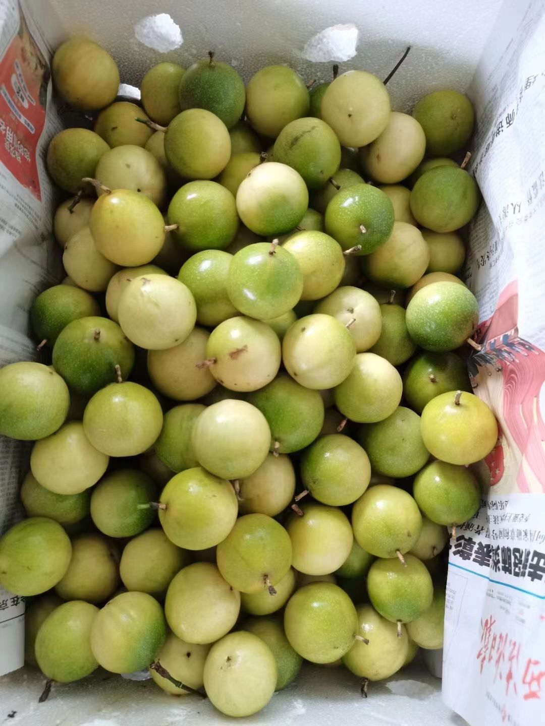 黄金百香果芭乐味产地直供，纯甜口感好一手货源，价格便宜