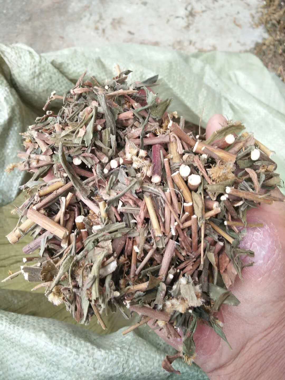 一枝黄花、两斤起发货、支持线上交易、量大从优