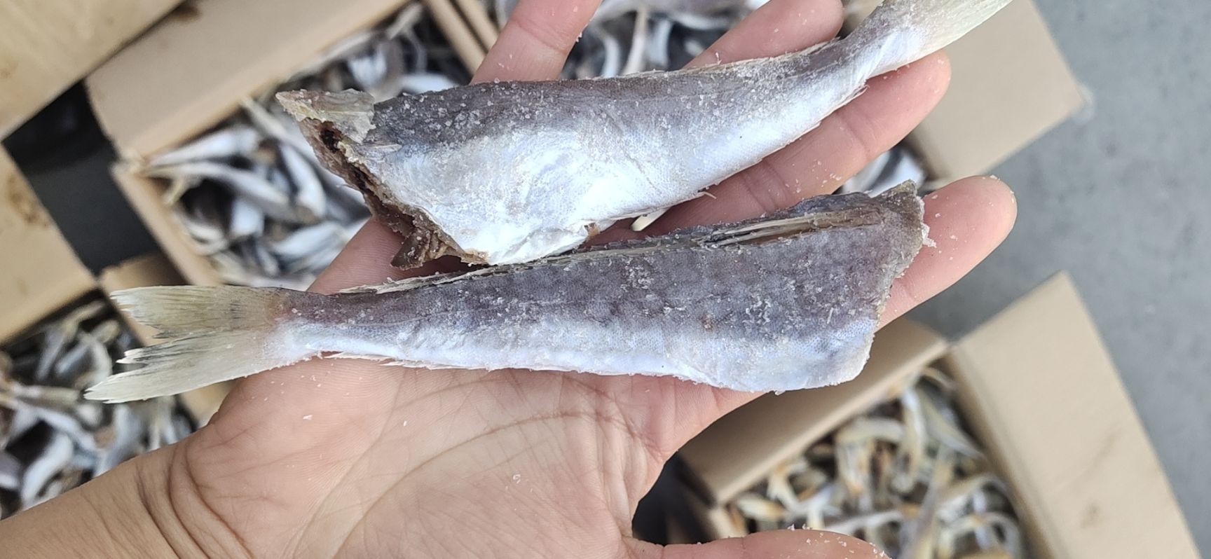 红鱼干  红头鱼，去头去尾的，用盐腌制的，没有碎刺，肉质劲道