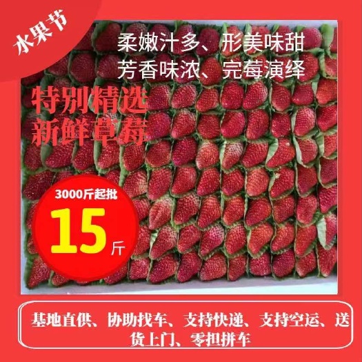长丰县奶油草莓 30克以上