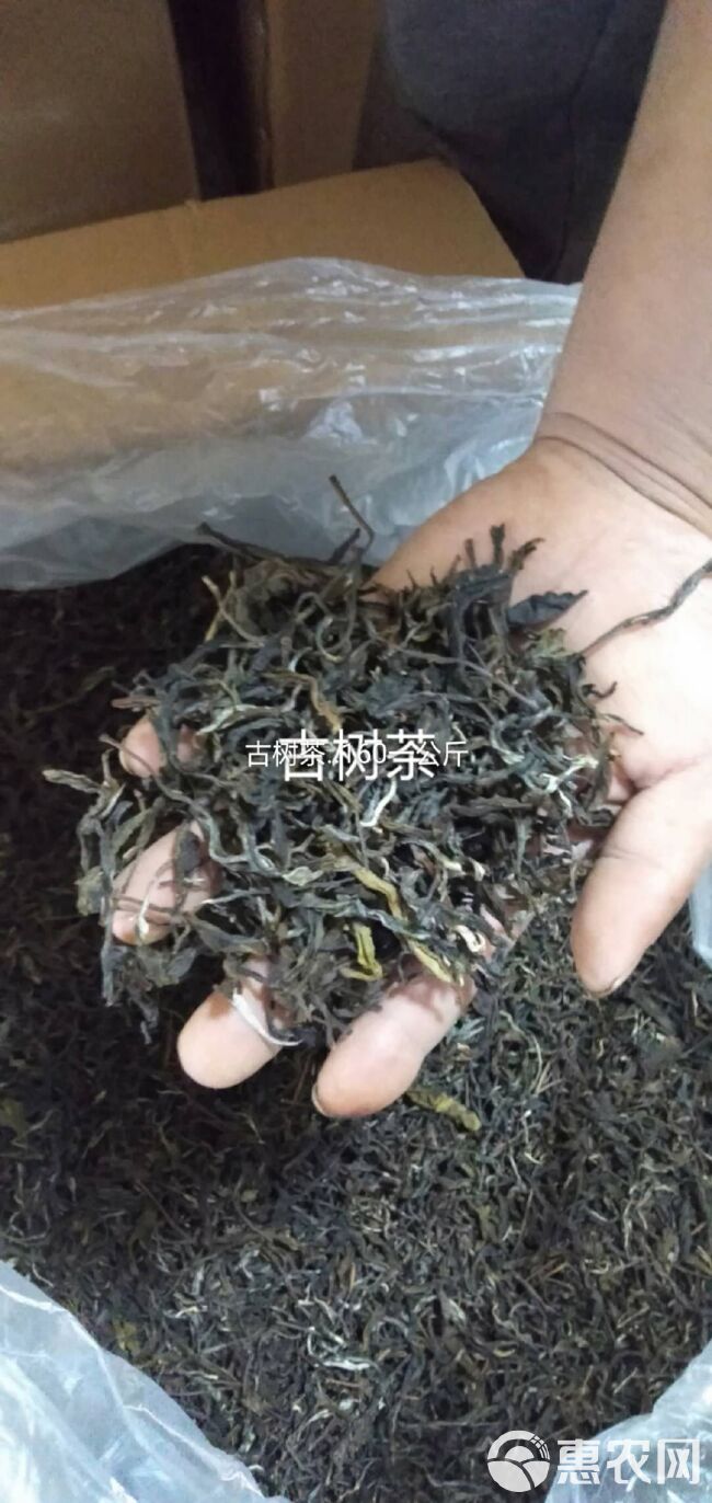 古树红茶 恒温长期保存