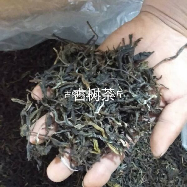 古树红茶 恒温长期保存