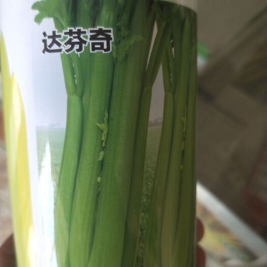夏邑县达芬奇  中晚熟西芹品种，中小棵0.5-1.5公斤，特高产。