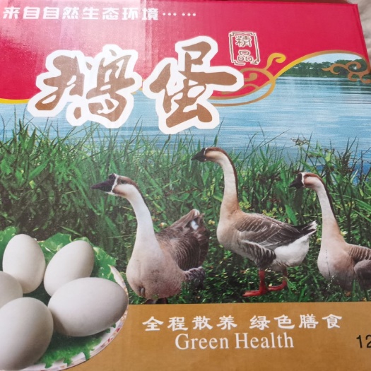 清远土鹅蛋 食用 礼盒装 