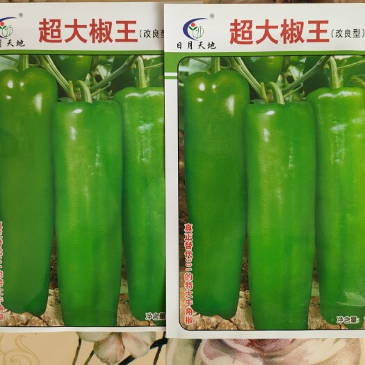 牛角椒种子  辣椒种子泡椒种子大辣椒种子菜椒种子菜辣椒种子大海椒种子