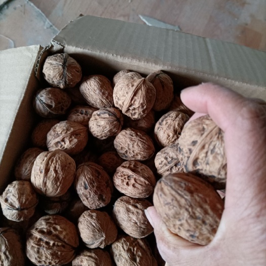 冕宁县薄皮核桃 可以百分保证绿色有机食品