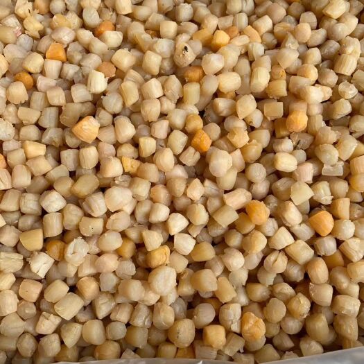 汕头干贝 24个月以上 