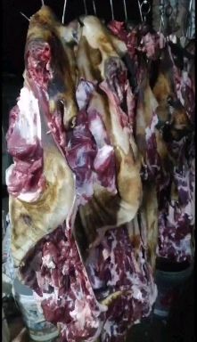 内江黑山羊肉  种植羊努比亚黑山羊种羊公里