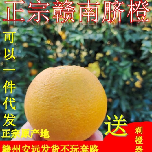安远县【正宗赣南脐橙】来自核心产区之一安远县农家稀土种植5斤包邮