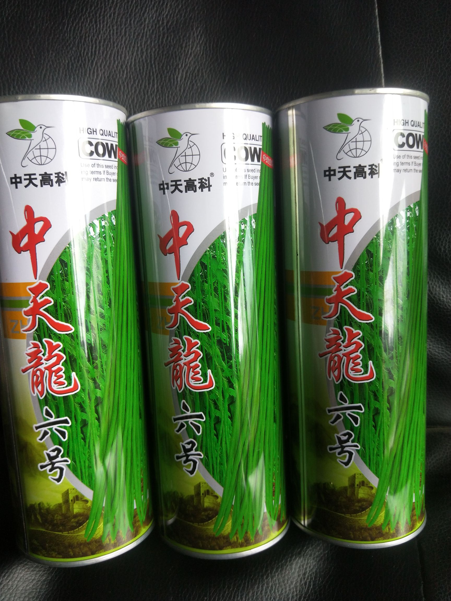 夏邑县豆角种子  基地园区很信赖的好品种。