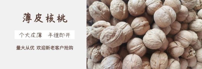 中牟县20年新疆185纸皮核桃，个大皮薄，手捏既开，需要联系