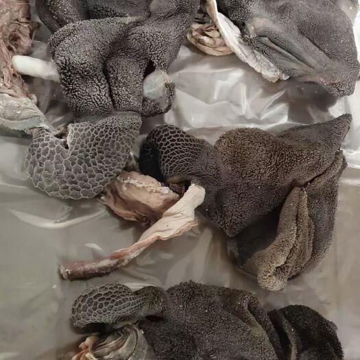 大厂县国产熟羊肚