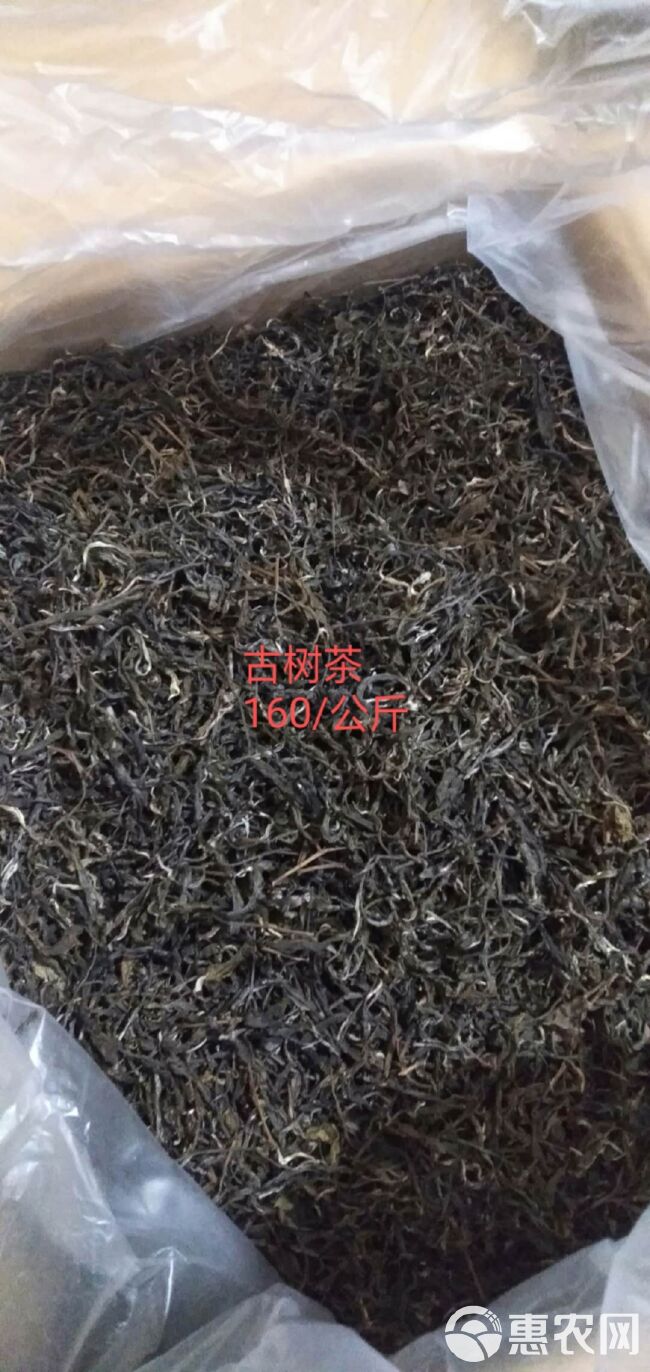 古树红茶 恒温长期保存