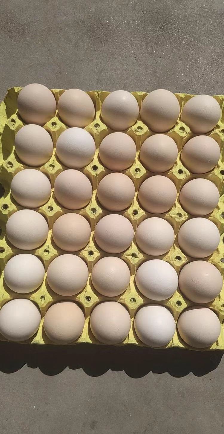 [粉壳蛋批发]粉蛋 鸡蛋价格155元/箱 