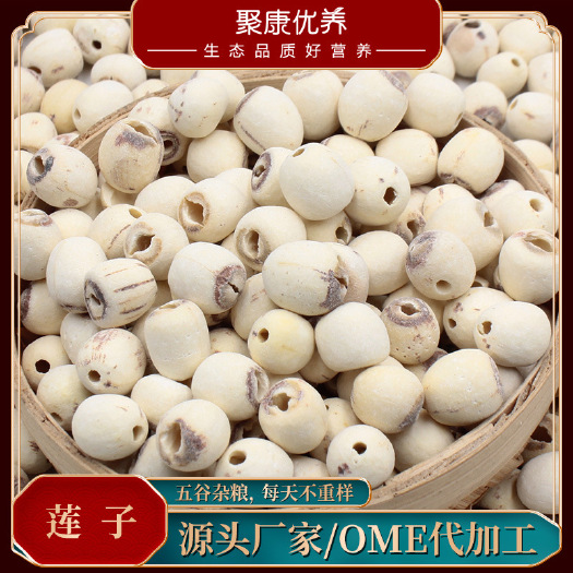安国市白莲子 源头厂家，支持代加工，代发货