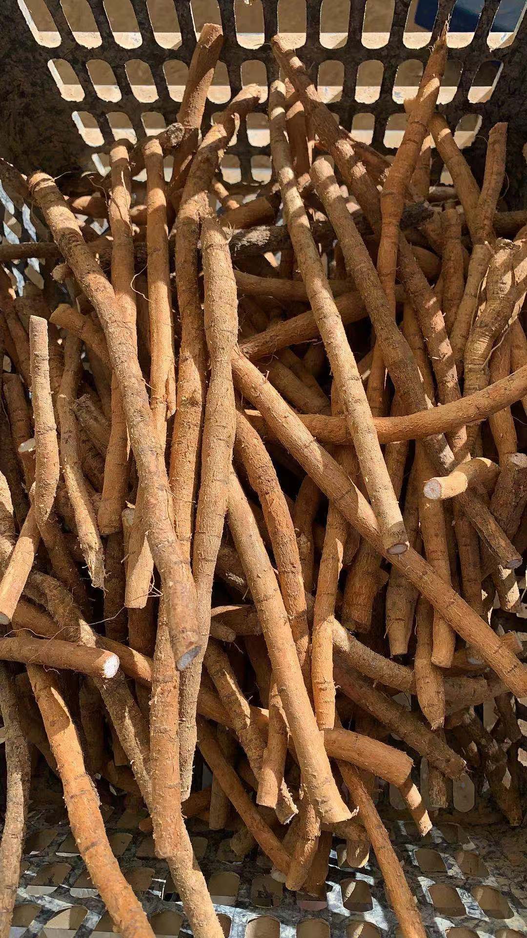 牛大力  新鲜次牛