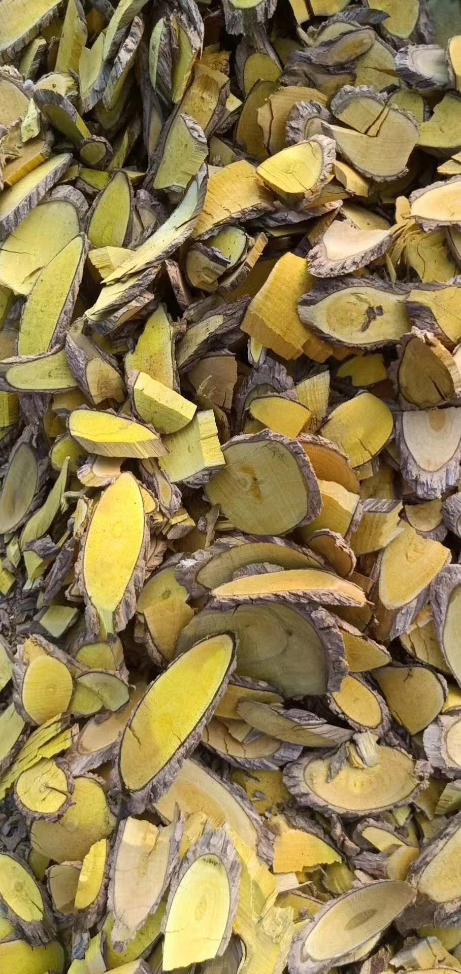 十大功劳木、两斤起发货、支持线上交易、量大从优