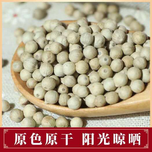 玉林白胡椒粒 特白水洗胡椒 调味香料 火锅底料 海南越南产地