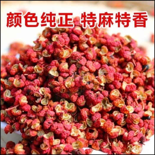 红花椒  韩城一级花椒