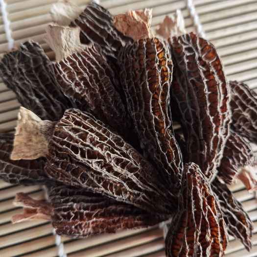 石家庄羊肚菌