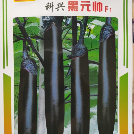 茄子种子墨茄种子烧烤茄种子长茄种子黑茄种子线茄种子
