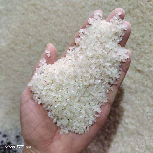原阳县原阳大米 一等品 一季稻 籼米 