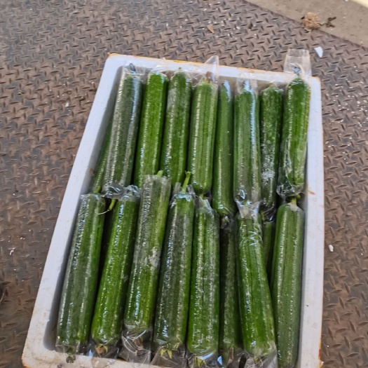 惠州精品丝瓜，耐运输，可供全国各地市场，超市，电商平台