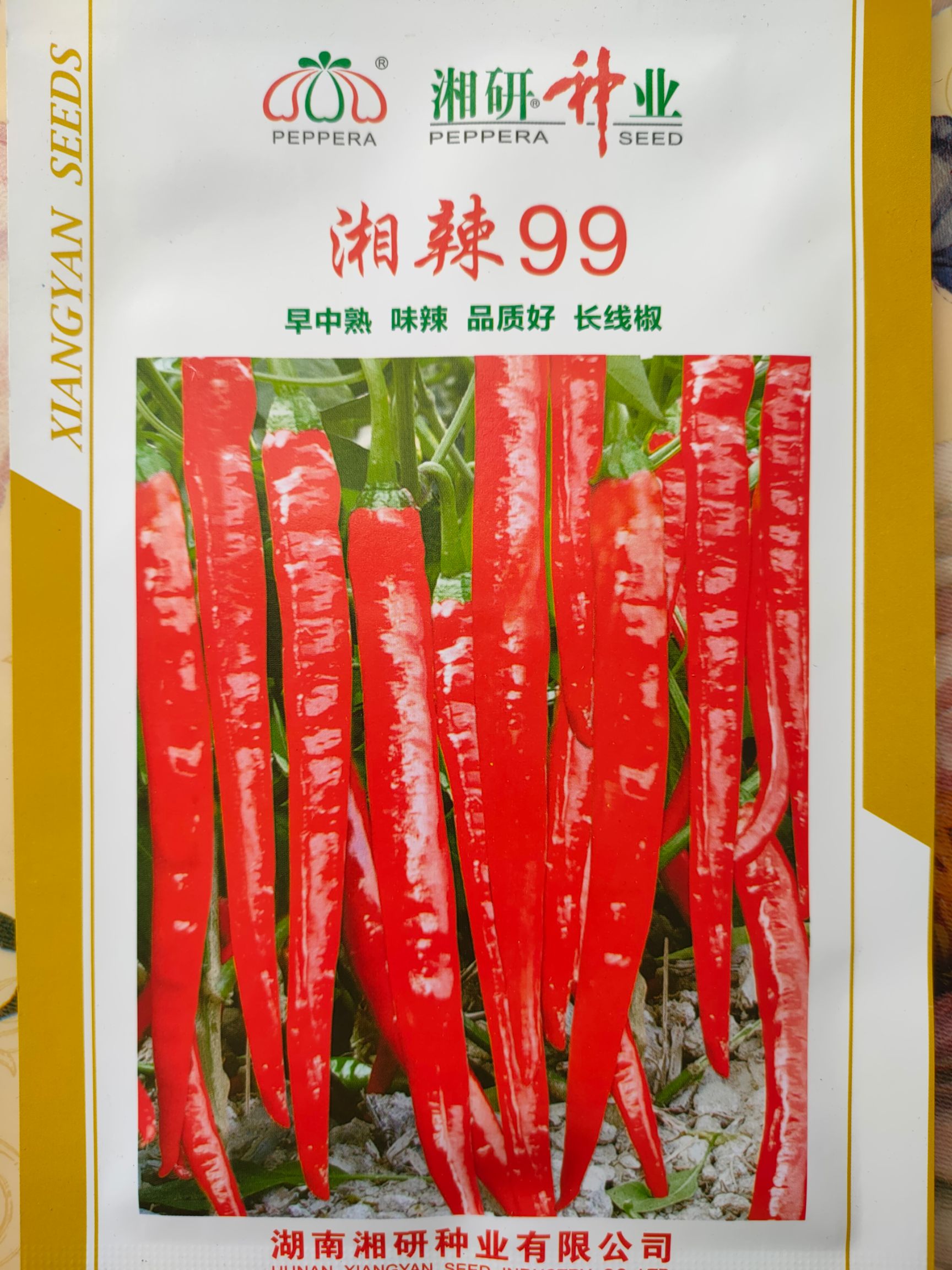正宗湘研辣椒种子辣椒种子线椒种子青椒种子红椒种子长辣椒种子