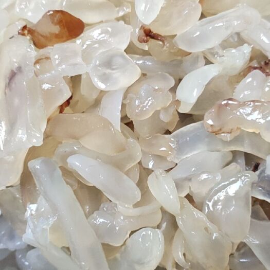 庄河市海蜇  懂的一看就明白