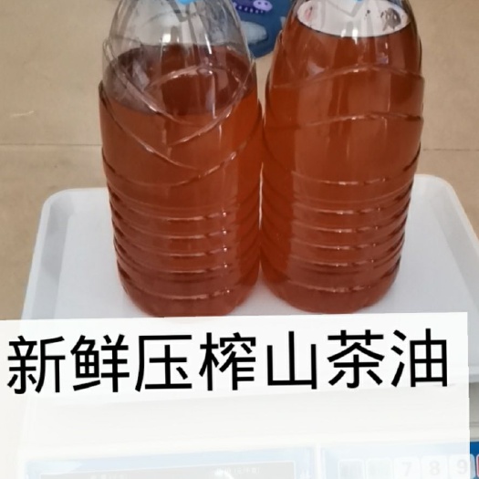 富宁县新鲜现榨 正宗野生山茶油 农家 天然 健康散装
