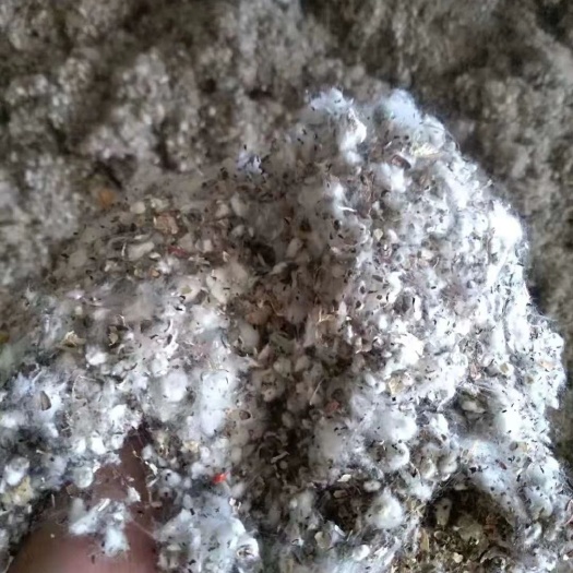 天津销售新疆棉籽壳，棉壳棉籽，棉渣棉花壳，棉子皮，玉米芯颗粒