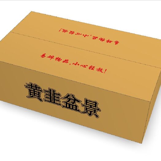 南宫市景观盆栽  黄韭盆景盆栽蔬菜