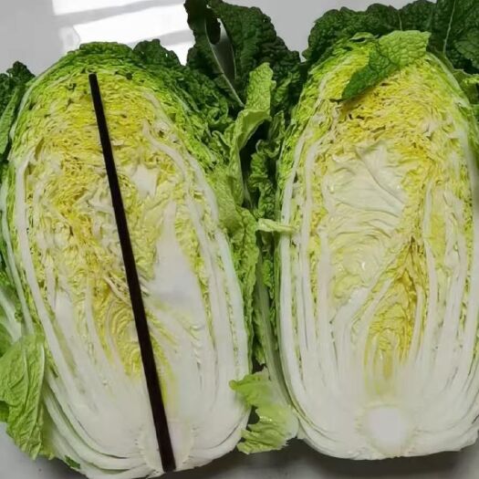 钟祥市白菜，黄心大白菜