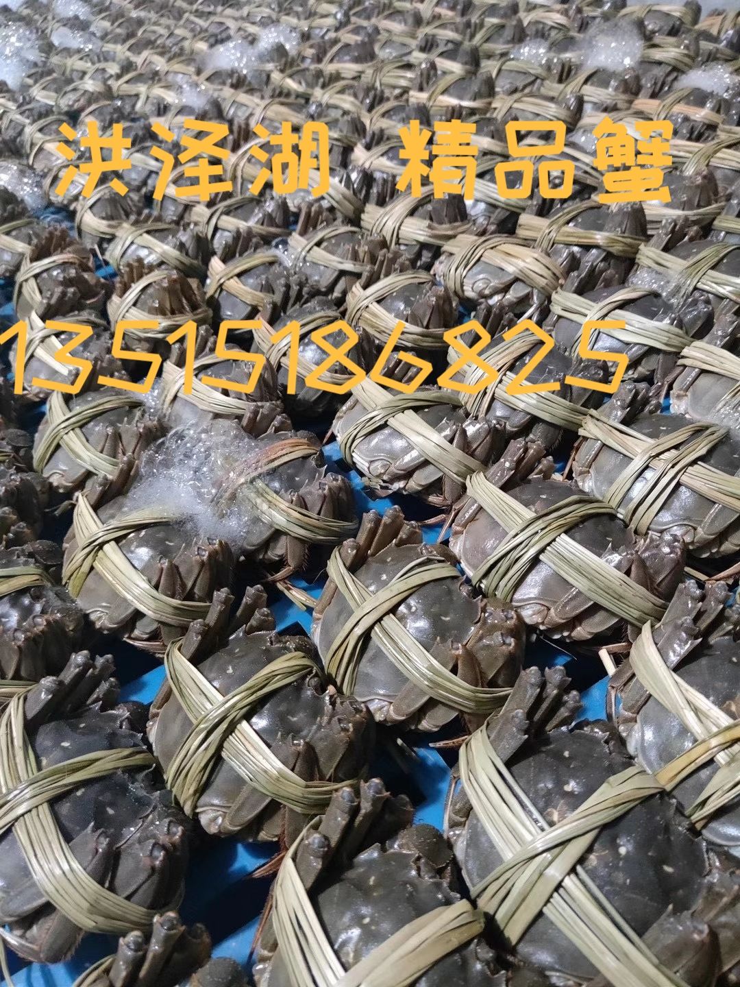 产地直达，一手货源，长期供货，优质大闸蟹，精品蟹