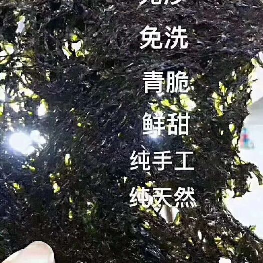 东山县东山岛头水紫菜，头茬鲜甜，免洗无沙