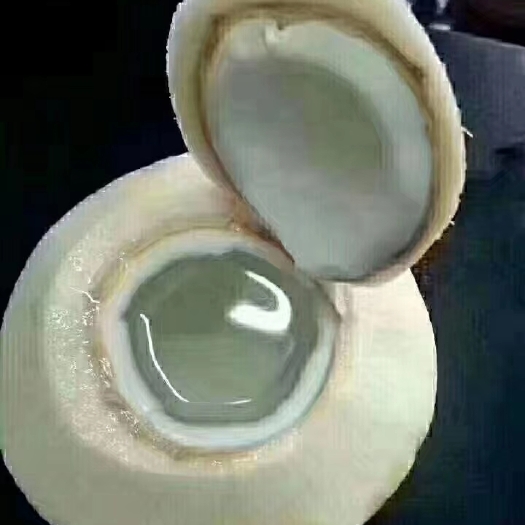海口椰青  海南文昌东郊天然椰子！全国包邮一件代发！坏果包赔！