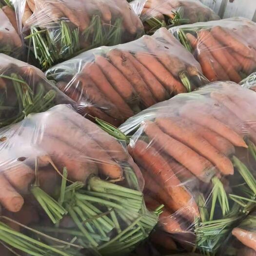 通许县 三红胡萝卜 河南开封胡萝卜 大量供应