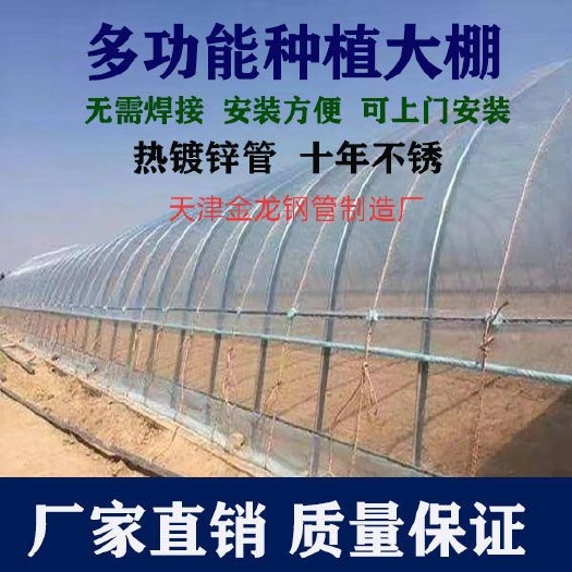天津天津静海优质养殖大棚批发 快速发货保障种植效率