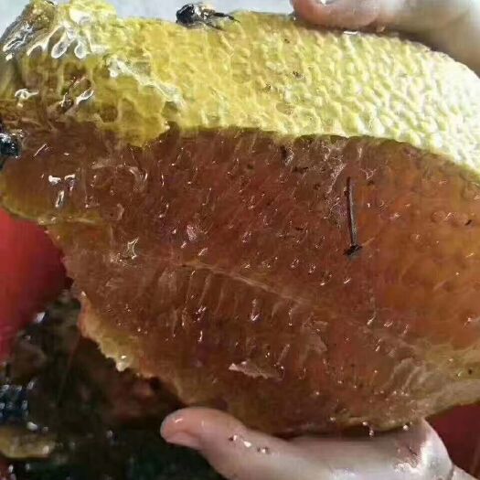 宜良县野生蜂蜜  本店主营:来自于云南大山深处的土特产，自产自销，一手货源。