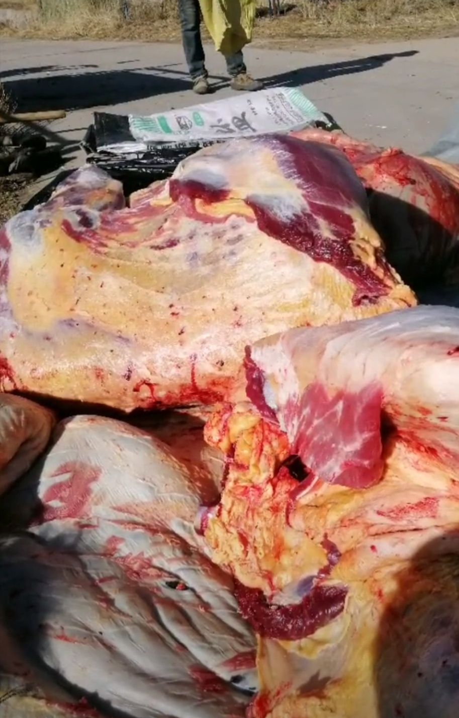 藏族牦牛肉  青海高原牦牛肉
