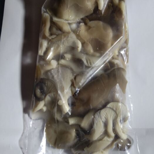 邯郸鲜平菇 