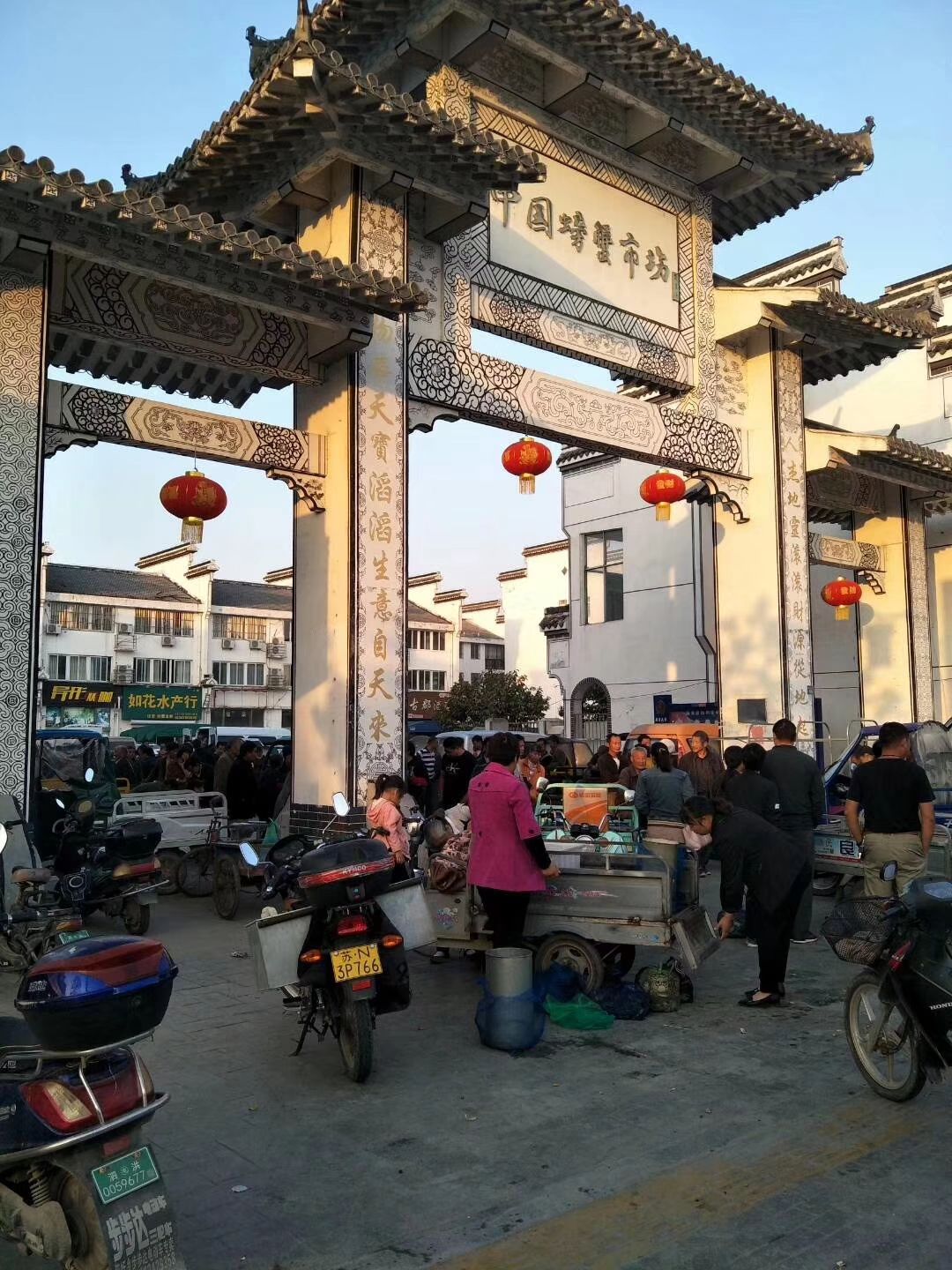  产地直达，一手货源，长期供货，优质大闸蟹，精品蟹